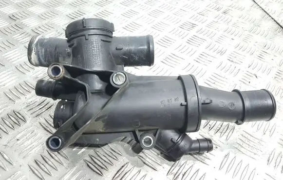 Thermostat/thermostat housing
