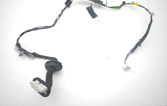 Rear door wiring loom