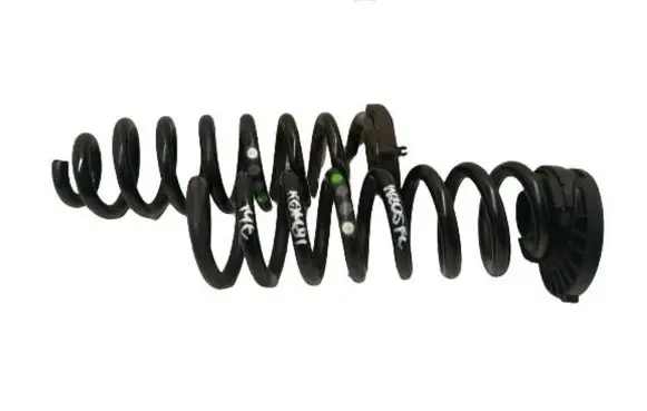 Mercedes-Benz C W205 Rear coil spring