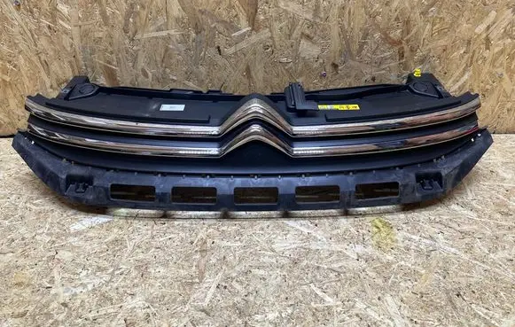 Citroen C3 Front bumper upper radiator grill 9812063477 3200201190251 0251000100