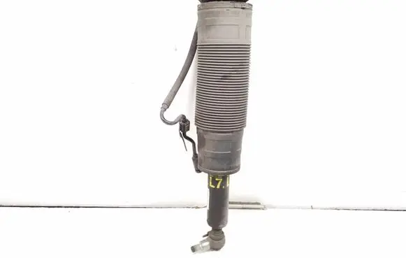 Mercedes-Benz CL C216 Front shock absorber/damper A2213207913