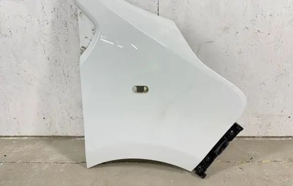 Renault Trafic III (X82) Fender