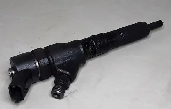 Peugeot 406 Fuel injector 9641742880 0445110076
