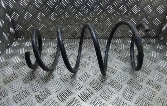 Front coil spring