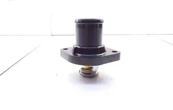 Peugeot 307 CC Thermostat TH648889J