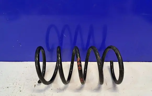 Volvo S60 Rear coil spring 30748395