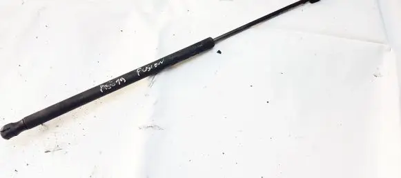 Ford Fusion Tailgate/trunk strut/damper