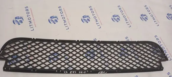 BMW X3 E83 Front bumper lower grill 51113416203