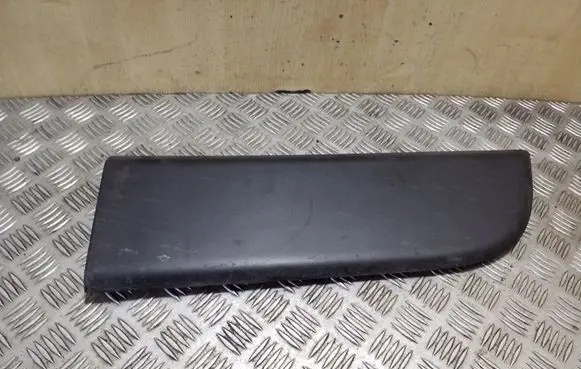 Front door trim (molding)