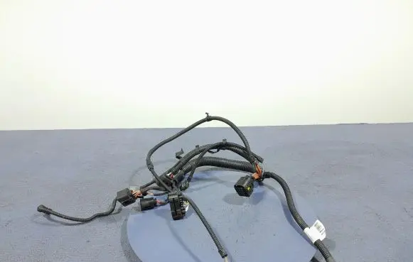 BMW 6 F12 F13 Other wiring loom 7599382