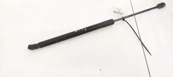 Tailgate/trunk strut/damper
