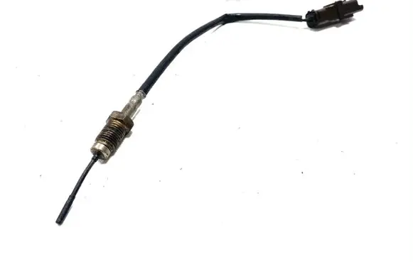 Citroen C4 I Exhaust gas temperature sensor 9651618180 09K030520