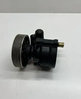 Renault Scenic I Power steering pump 26025012