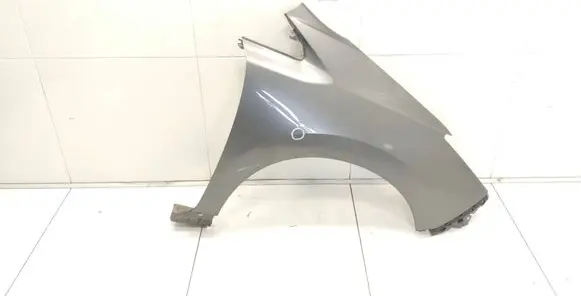 Nissan Leaf II (ZE1) Fender