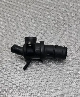 Thermostat/thermostat housing