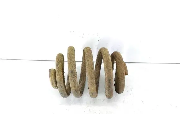 Rear coil spring