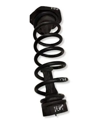 Nissan Qashqai Rear coil spring 550324EA0A