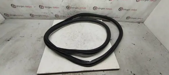 Renault Talisman Rear door rubber seal (on body) 
