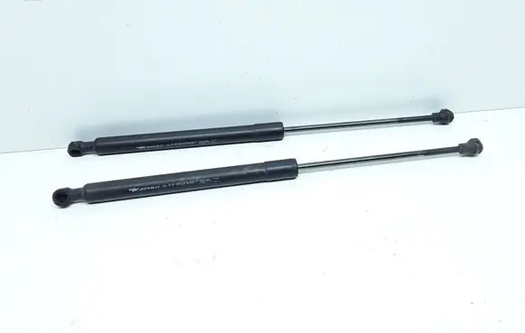 Renault Captur Tailgate/trunk strut/damper 844301324R