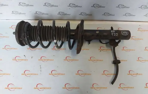 Opel Crossland X Front shock absorber/damper 