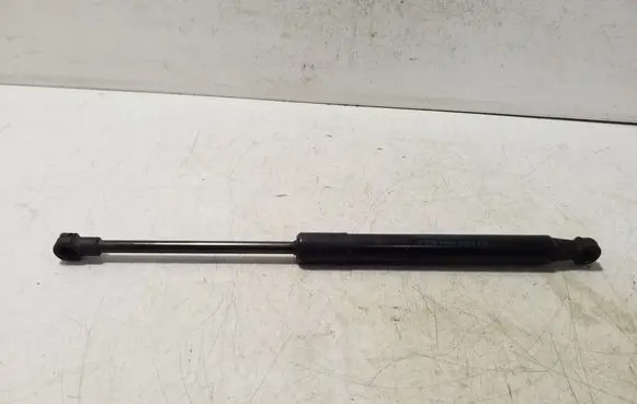 Front bonnet/hood damper/strut