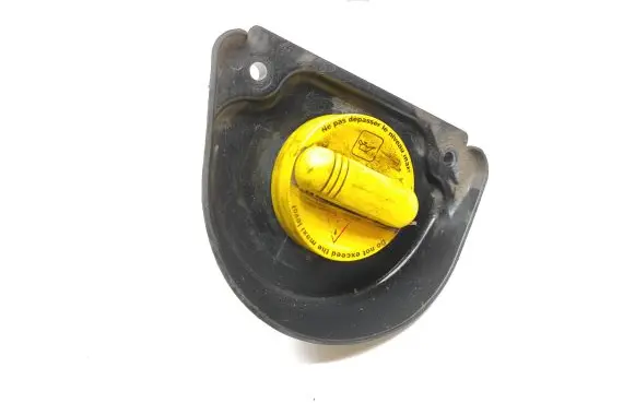 Renault Trafic III (X82) Oil filler cap 8200795333