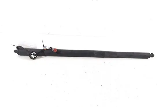 Ford Mach-E I Tailgate strut LJ8BR402A54AE