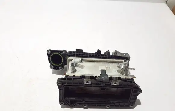 Renault Espace VI Optional radiator 100011351R