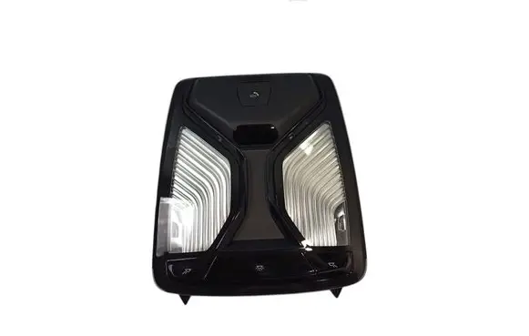 BMW X5 G05 Front seat light 61315A8A0F3 5A8A0F3
