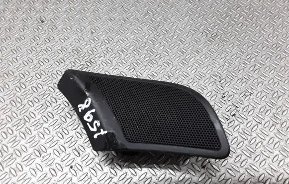 Front door high frequency speaker