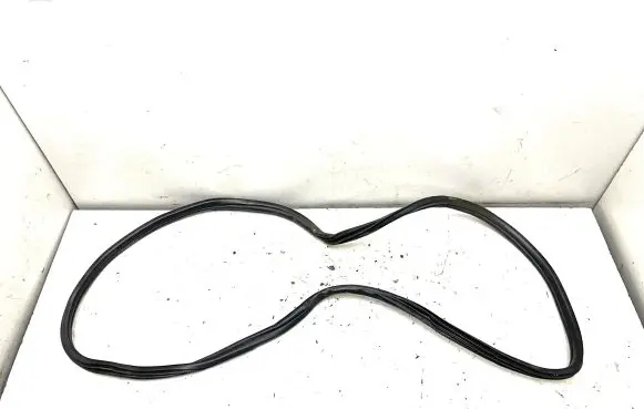 BMW X6 E71 Rubber seal rear door 7305620