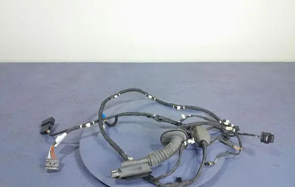 BMW X5 E53 Other wiring loom 8779817