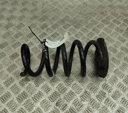 Tesla Model Y Rear coil spring 118847600B