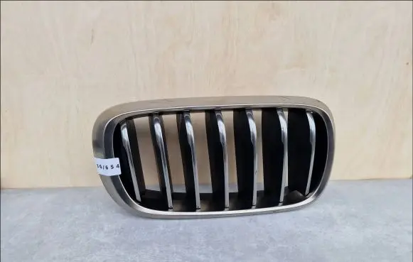 BMW X5 F15 Front grill 51137349388