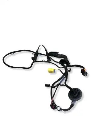Audi Q5 SQ5 Front door wiring loom 8R0971029 16112012 TAB010766TR