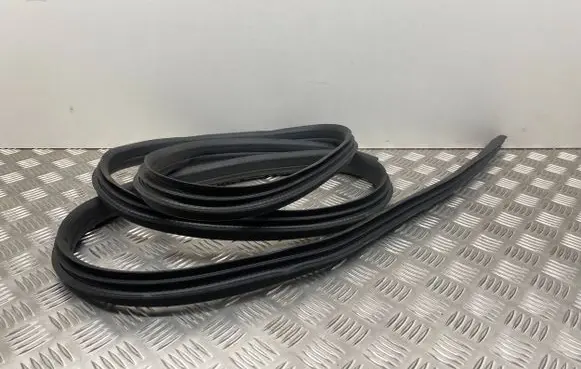 Ford C-MAX II Front door rubber seal 