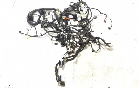 Ford Mach-E I Other wiring loom LJ8T14290ECH