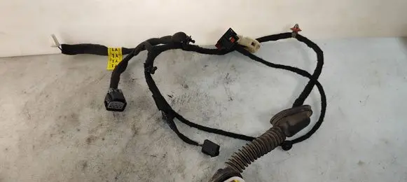 Rear door wiring loom
