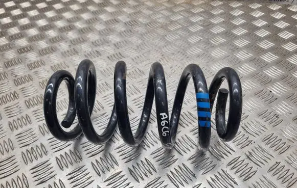 Front coil spring