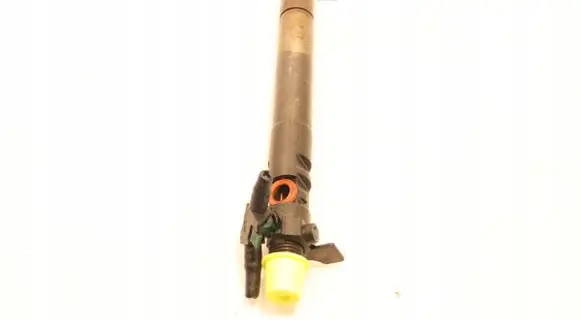 Ford Galaxy Fuel injector 9686191080