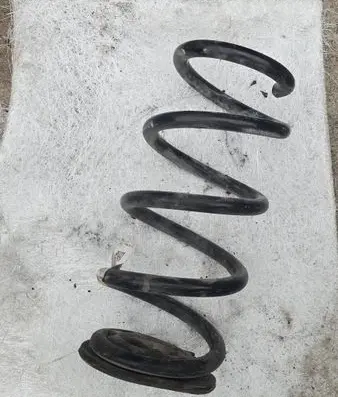 Rear coil spring