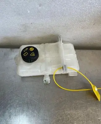 Renault Kangoo III Brake fluid reservoir DORENAULTKANGOOIV4 460913338R