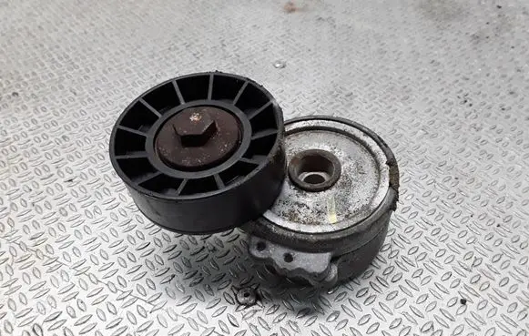 Peugeot 407 Generator/alternator belt tensioner