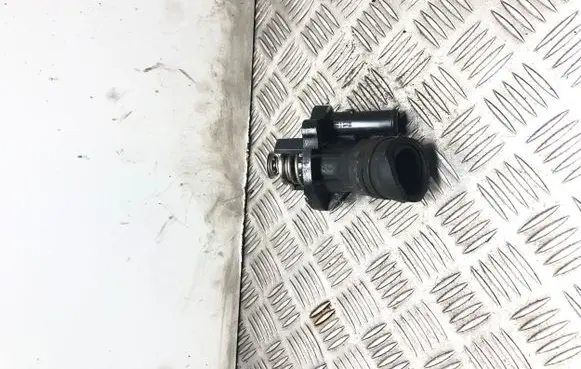 Thermostat/thermostat housing