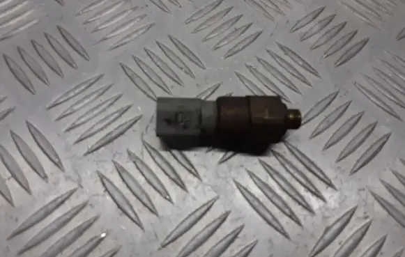 Audi A3 S3 8L Valve oil control 1J0919081