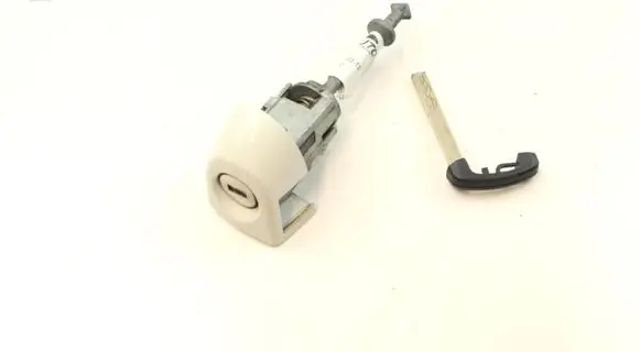 BMW 3 F30 F35 F31 Ignition key/card 