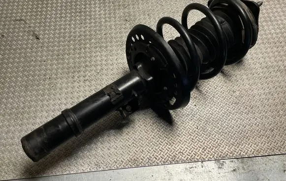 Honda Civic X Front shock absorber with coil spring