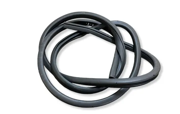Nissan Leaf II (ZE1) Front door rubber seal 