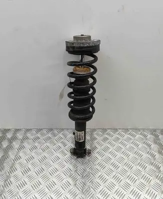 BMW X3 F25 Rear shock absorber/damper 6796317