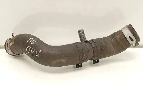 Nissan Juke I F15 Engine coolant pipe/hose